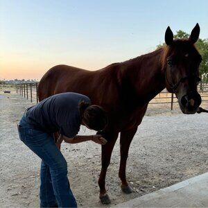 Meet your Posher, Ash